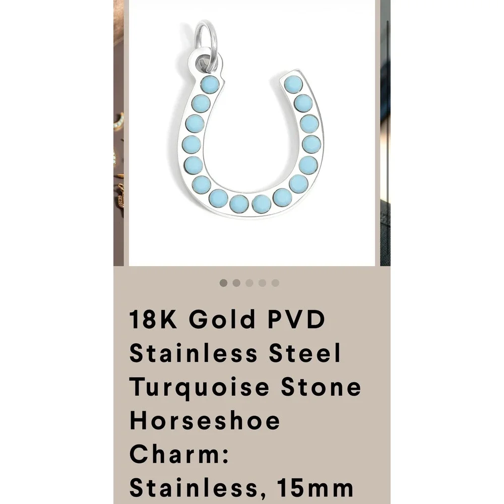 Turquoise Stone Horseshoe Charm Stainless‎ Steel Silver Blue Excellent